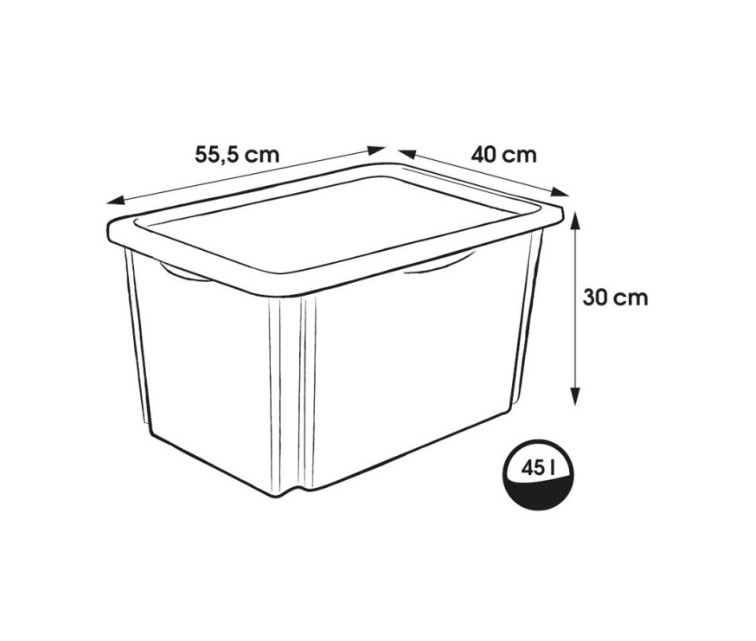 Box with lid 45L Karolina "Winnie the Pooh" 55,5x40x30cm transparent