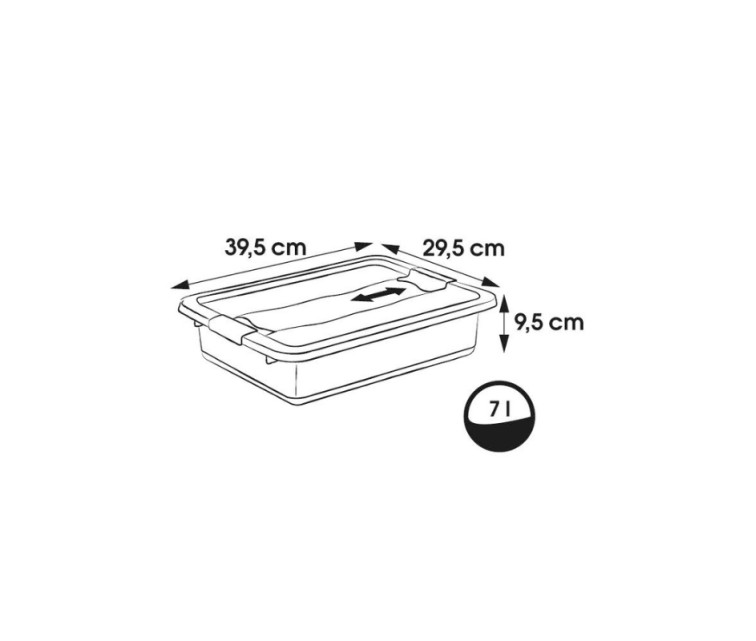 Kaanega karp kristallkarp Cornelia 39,5x29,5x9,5cm 7L läbipaistev